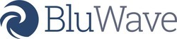 BluWave Service Providers Platform